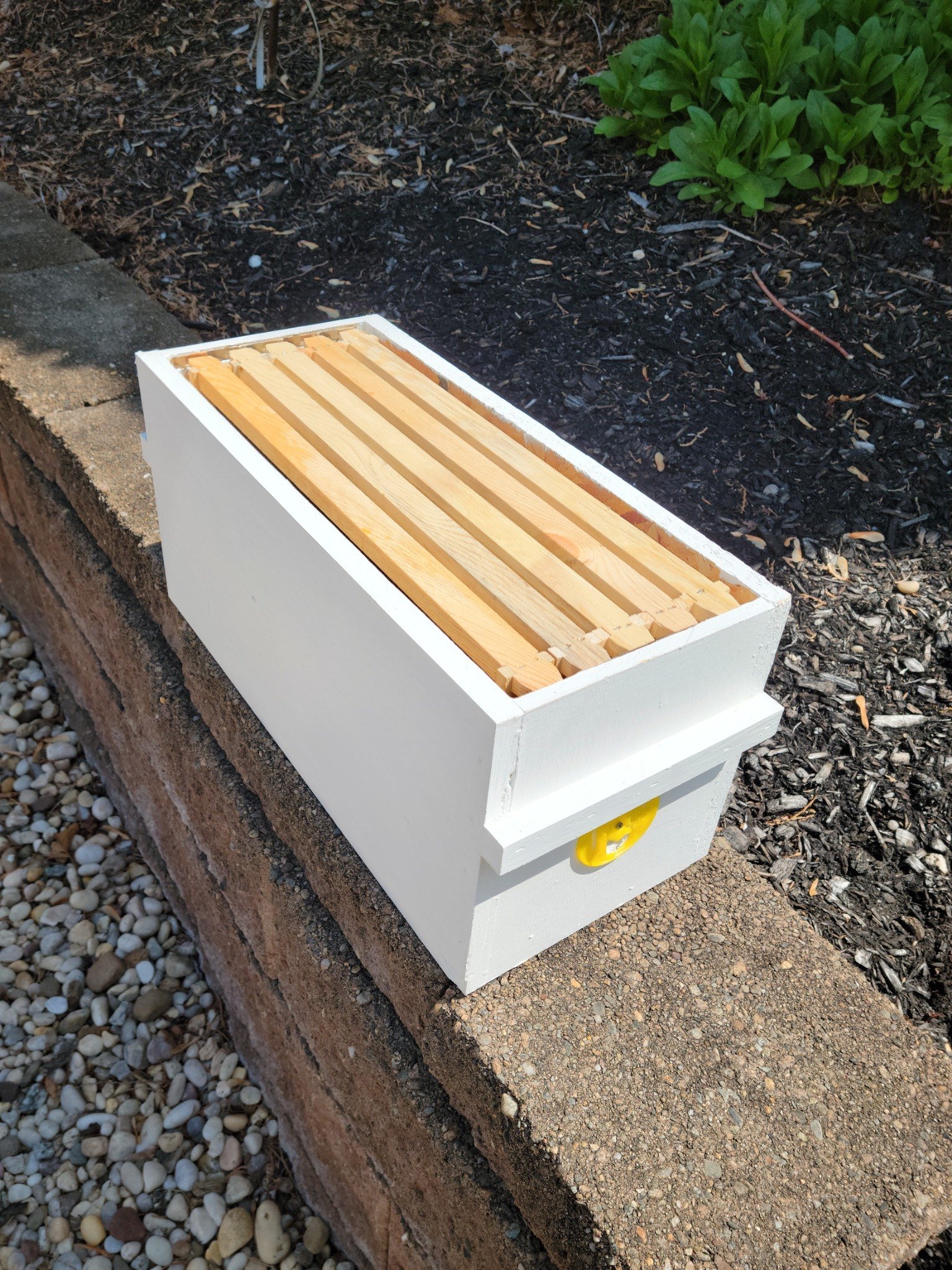 Hive box with frames
