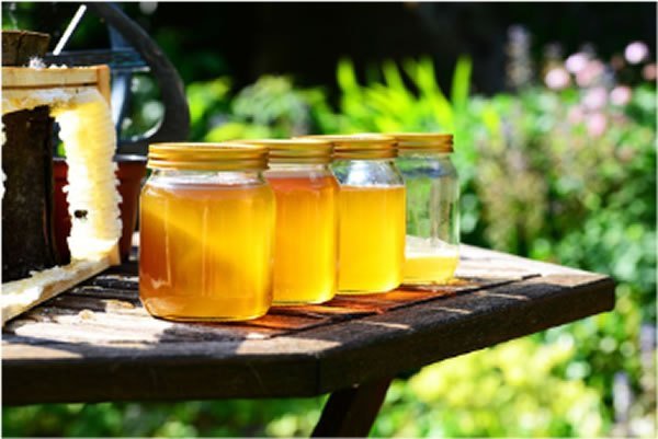 Jars of local honey