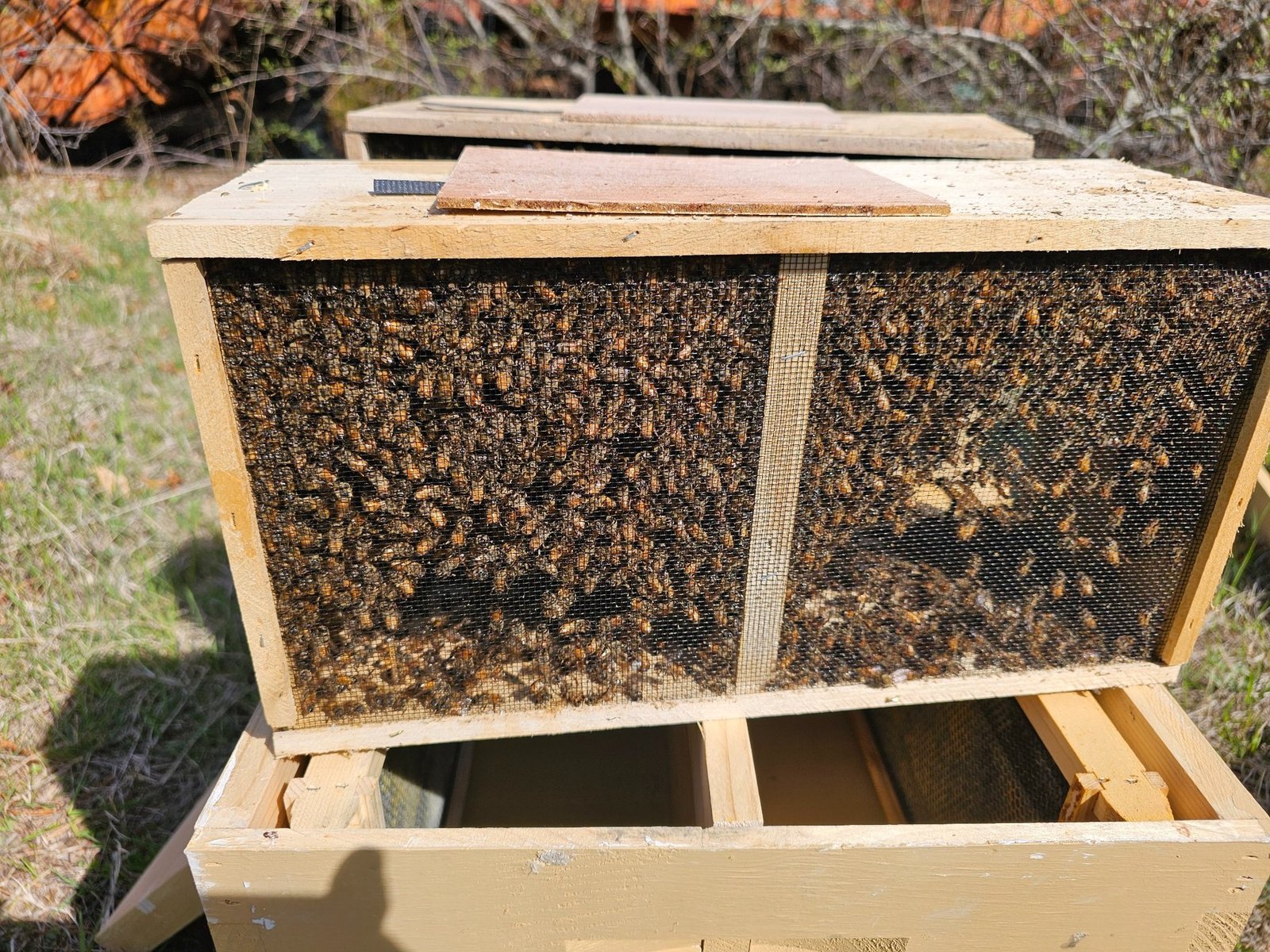 Package bees